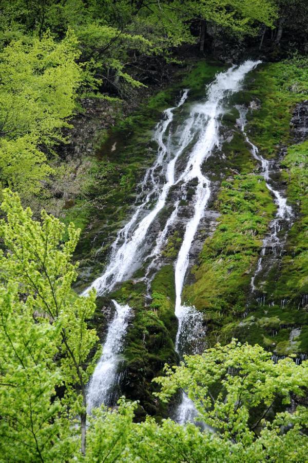 Gorska Hiska Vogar Nad Bohinjskim Jezerom Zewnętrze zdjęcie